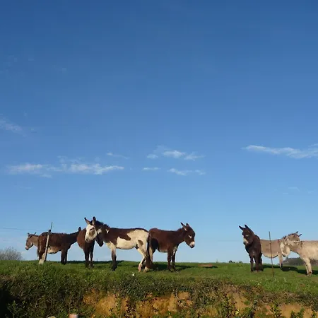 Hotel Valle De Arco 3*